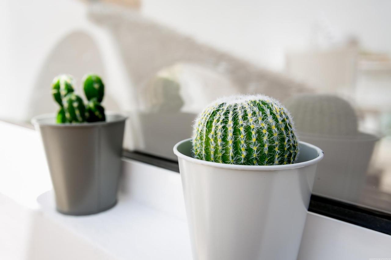 Cactus Apartment Сан Мигель Экстерьер фото